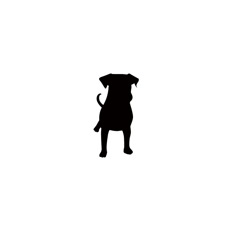 みやだんな